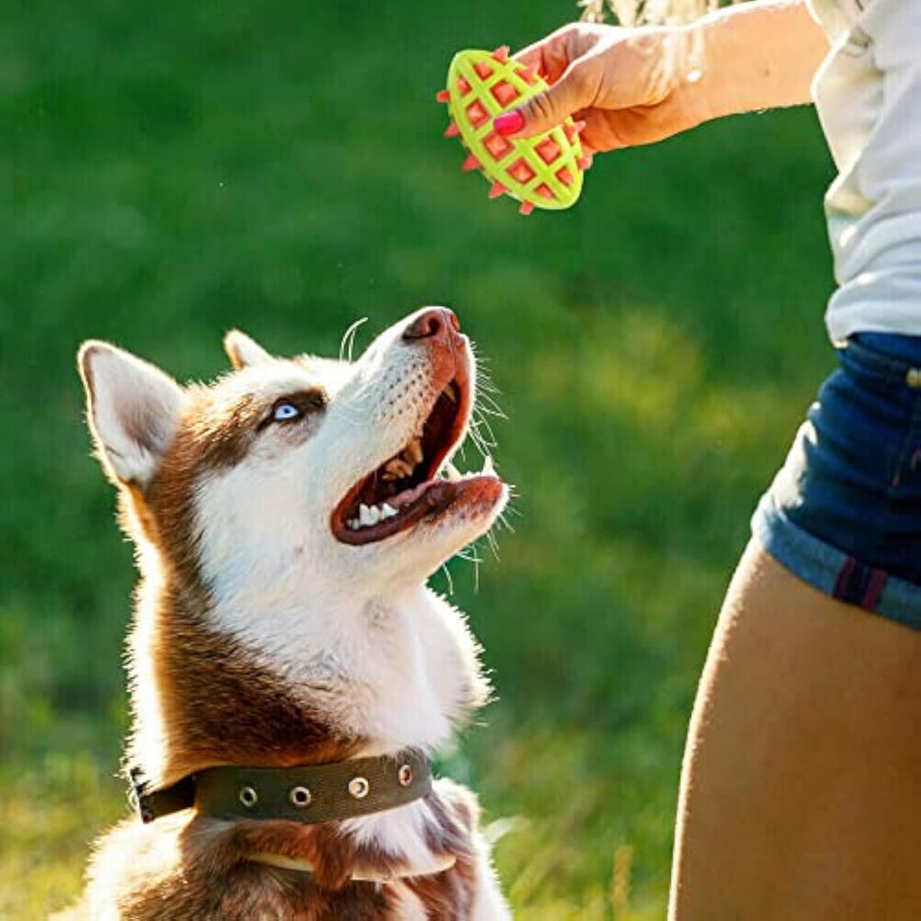 Pet Sounding Dog Teether Ball Indestructible Dog Toys For Aggressive Chewers Cleans Dogs Teeth Dog Throwing Game Anxiety Relief Interactive Dog Toys