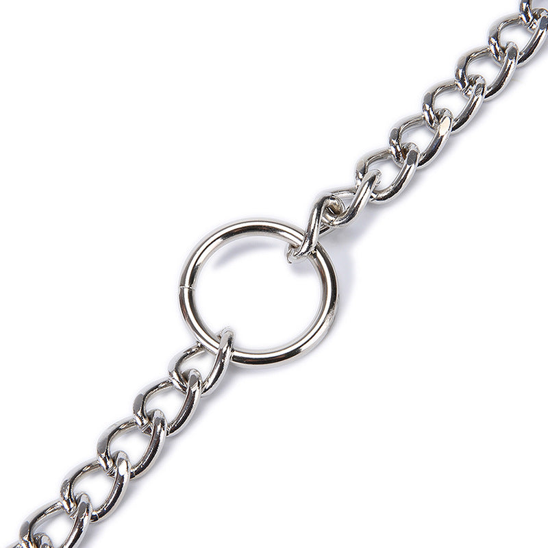 Chrome-Plated Alloy Pet Dog Collar Pet Dog Collar Iron Chain One For Two Double Traction Rope