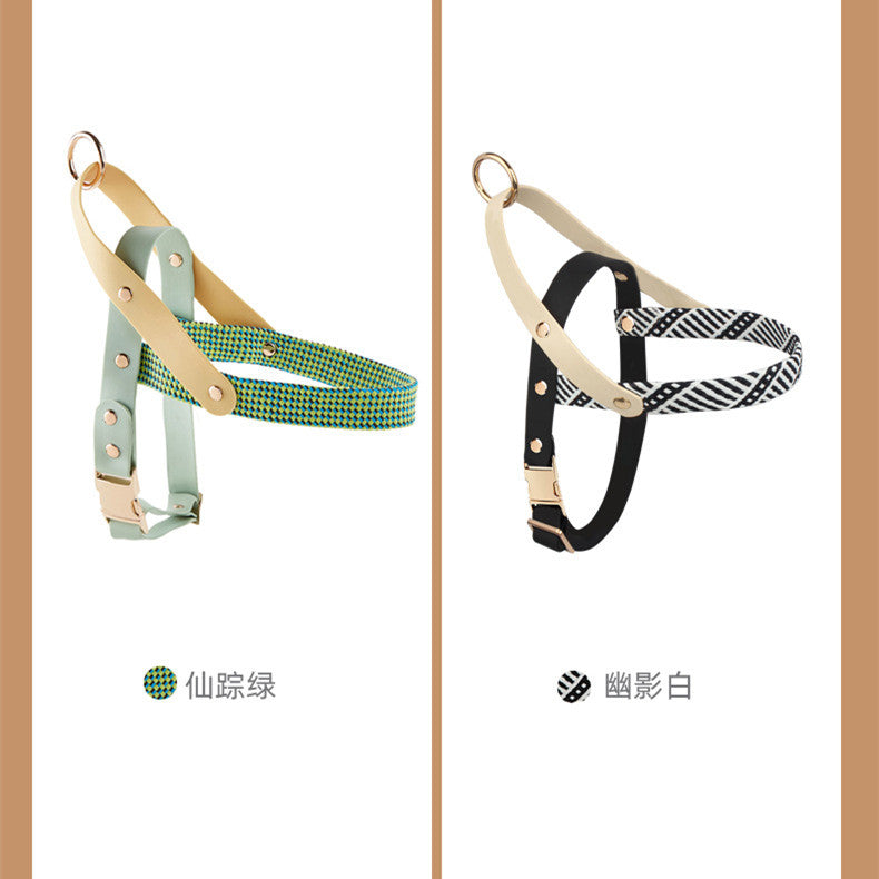 Dog Hand Holding Rope Pet Harness Chain