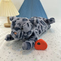 Pet Comfort Toy Plush Interactive